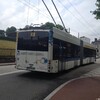 Arrière d'un Hess Swisstrolley 4 n°902 du réseau TCL de Limoges en service sur la ligne 4