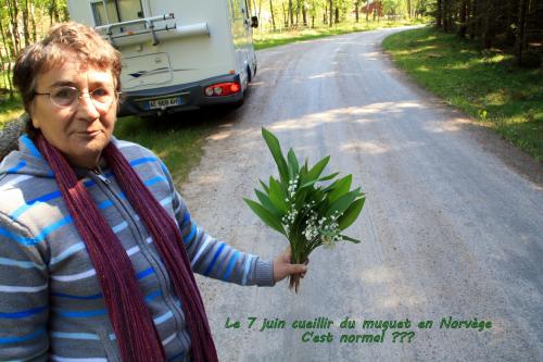 le cul de la bonne