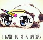 panda licorne 