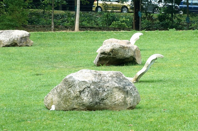 Val d'Yerres: promenade à l'île Panchout