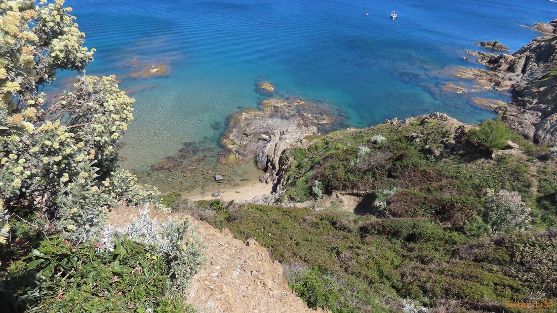 la presqu'île de Giens - 10