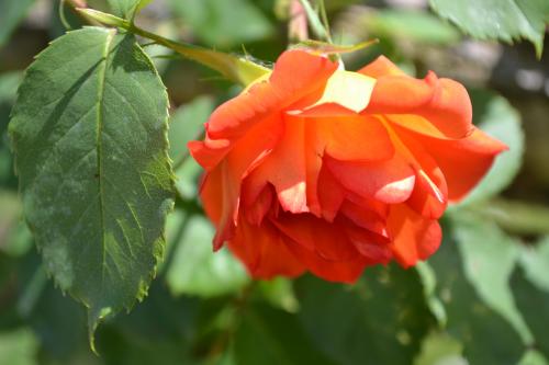 Le cartoscope du jeudi 5 septembre 2019