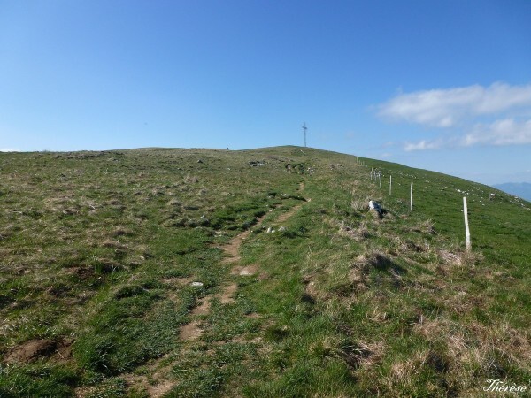 Grand Colombier (15)