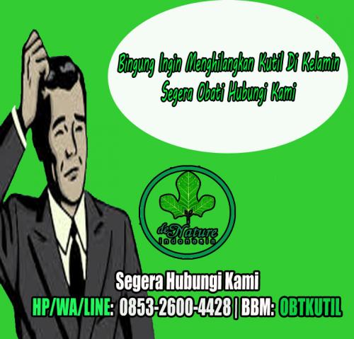 Obat Kapsul Dan Salep Kutil Kelamin Di Apotik K24 Top Ampuh