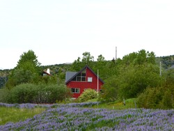 19 juin, de Þingeyri à Isafjörður