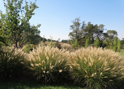 Le merveilleux jardin de Renée.