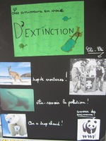 Troisième exposé "Les animaux en voie d'extinction"