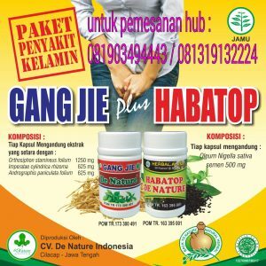 OBAT HERBAL UNTUK PENYAKIT SIPILIS YANG PALING AMPUH