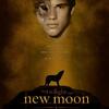 New-Moon-Fan-Poster-new-moon-movie-5398879-500-709.jpg