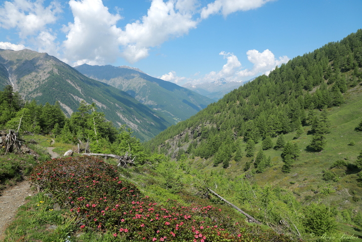 Montée vers le col Lacroix