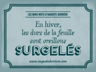 Humour: les jeux de mots d'Auguste Derrière - 44 images surgeles