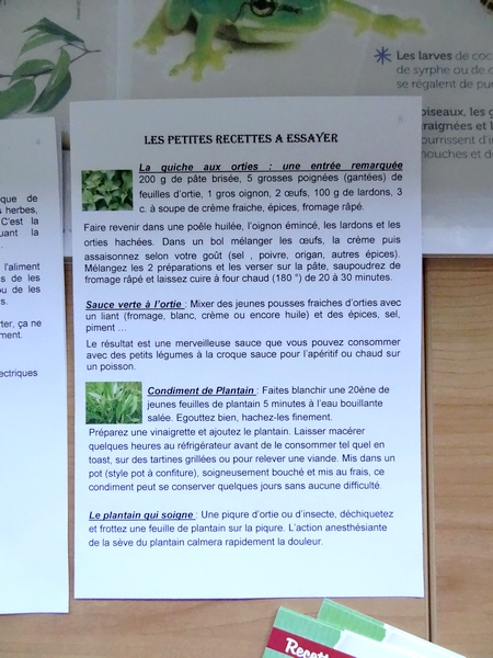 Soirée "Jardiner au naturel" au CSCL...
