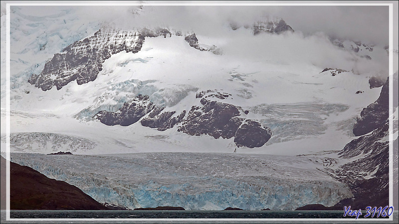 Vues sur quelques glaciers et gros névés - Géorgie du Sud