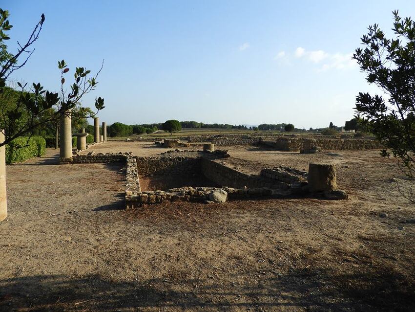 Empùries, Museu d'Arqueologia de Catalunya