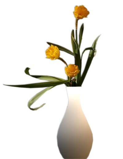 Fleurs dans vase /1