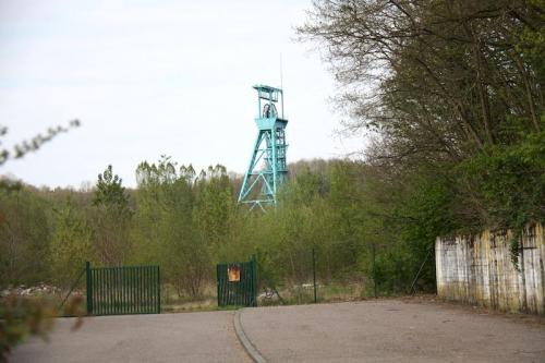 Petite-Rosselle partage une grande partie de son histoire avec la ville de Grande-Rosselle. En effet, la ville de Rosselle est fondée en 1290 et la séparation en deux communes distinctes ne se fait qu’en 1326. Ces deux villes ne sont séparées que par une rivière, la Rosselle.  Au cours de son histoire, Petite-Rosselle a été soit française, soit allemande. Comme les autres communes de l'actuel département de la Moselle, Petite-Rosselle est annexée à l’Empire allemand de 1871 à 1918. La commune connaît alors une période de prospérité.