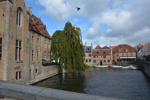 Le quai du Rosaire à Bruges