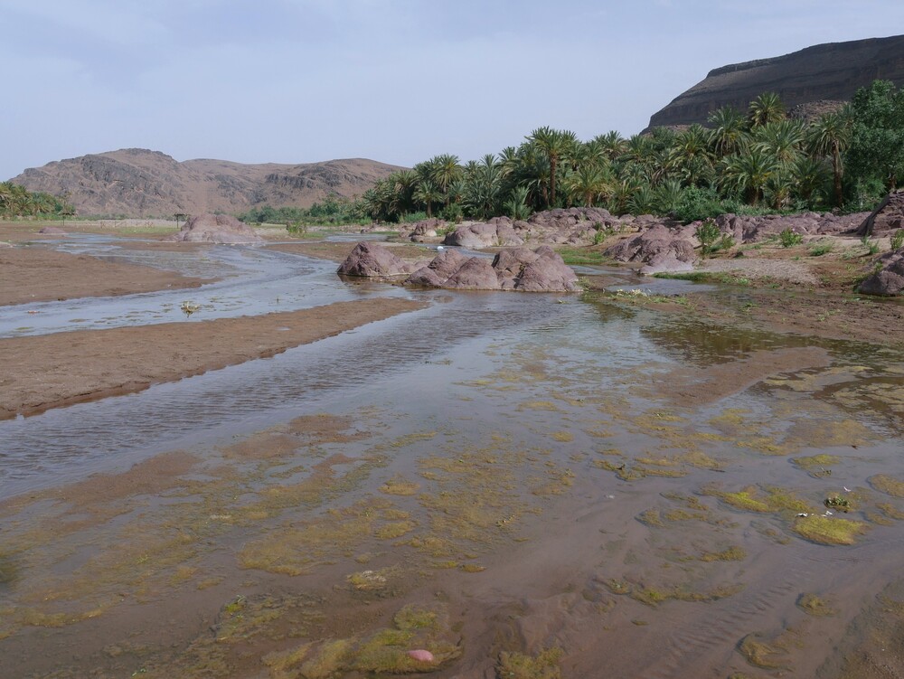 Oasis de Fint