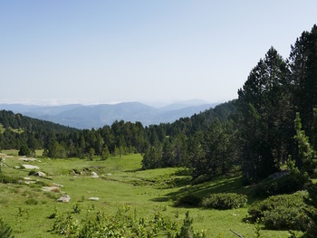 En approchant de l'enclos, vue vers le Nord