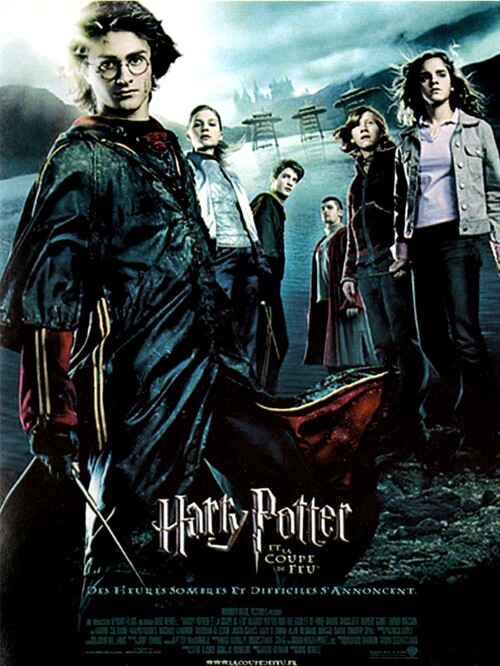 HARRY POTTER ET LA COUPE DE FEU BOX OFFICE FRANCE 2005