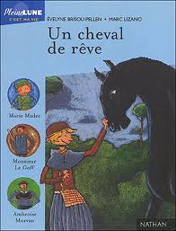 un cheval de rêve