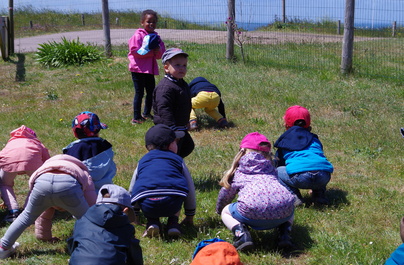 Visite au Cap Fréhel du côté des petites sections....