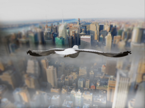 Above-the-World-from-Birds-Perspective9-640x479