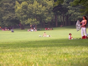 ny_central_park_sheeps_meadow_sunbathing_18_183