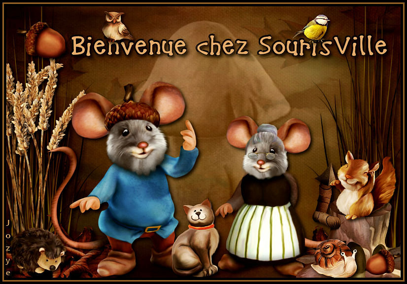 Bienvenue chez SourisVille - Page 4 200118082740803454