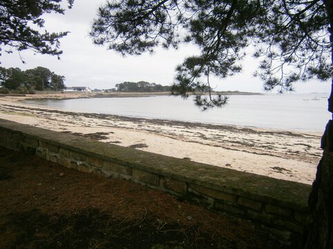 Rando à Saint Philibert le 18 03 2024 .55 randonneurs ont marché 8,8km dans des chemins côtiers humides et boueux !!!!!