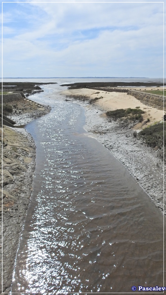 En longeant la plage entre Lanton et Cassy - fin Mars 2016 - 1/8