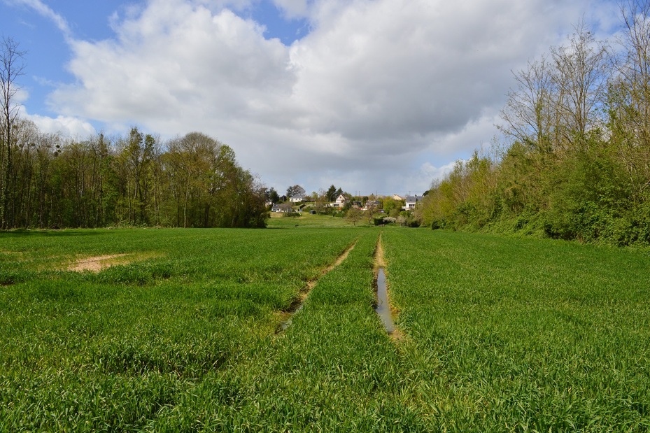 Rando Beaugency/Lestiou