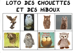 Loto des chouettes et des hiboux