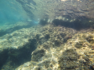 A l'abri du vent à l'ile Pomègue - Balade du 06 septembre 2020