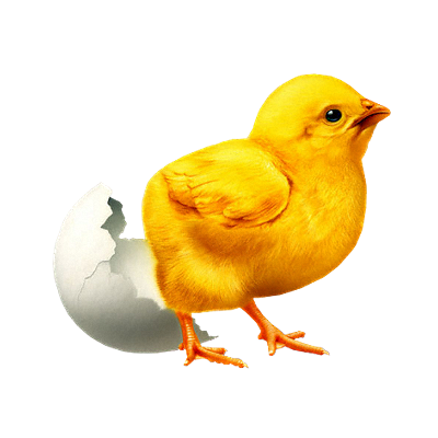 PAQUES = PASCOA