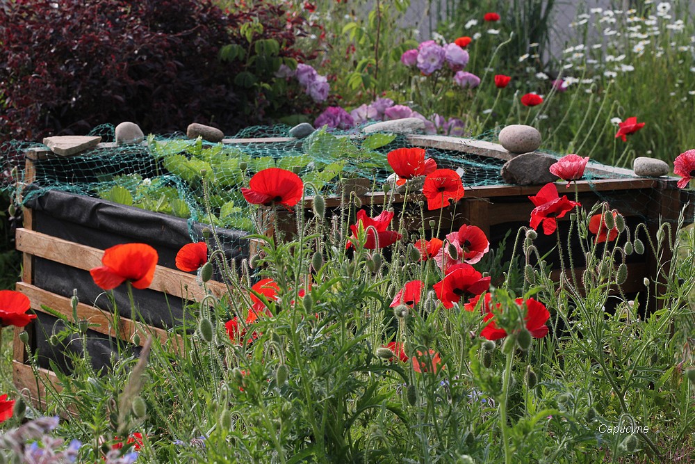 Quand j'ouvre la porte...