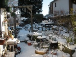 Mon jardin sous la neige ce 16 janvier 2013