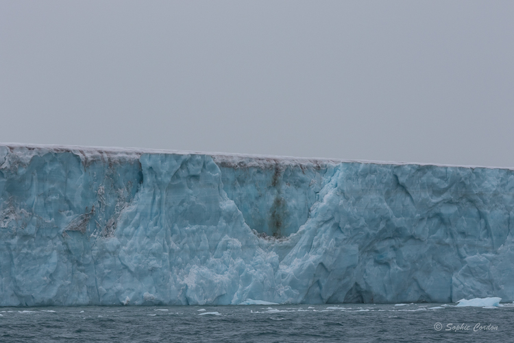 Récit de voyage - Bråsvellbreen