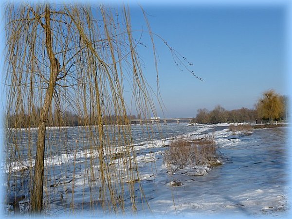 glace-avec-saule.jpg