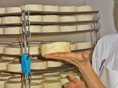 Visite de la fromagerie des Marronniers à Origny sur Seine...