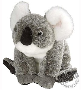 Koala en peluche - www.doudou-shop.com