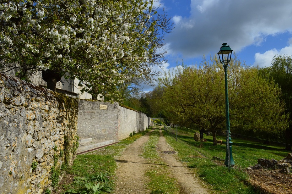 Rando Beaugency/Lestiou