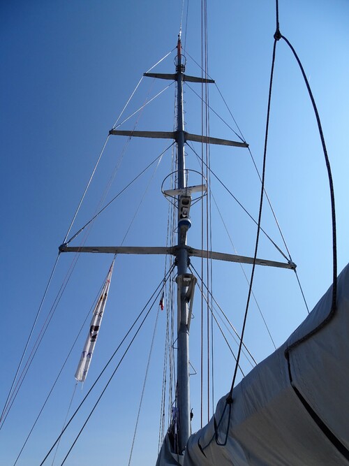 Visite de Tara à Lorient