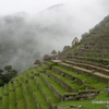 Machu Picchu - les terrasses