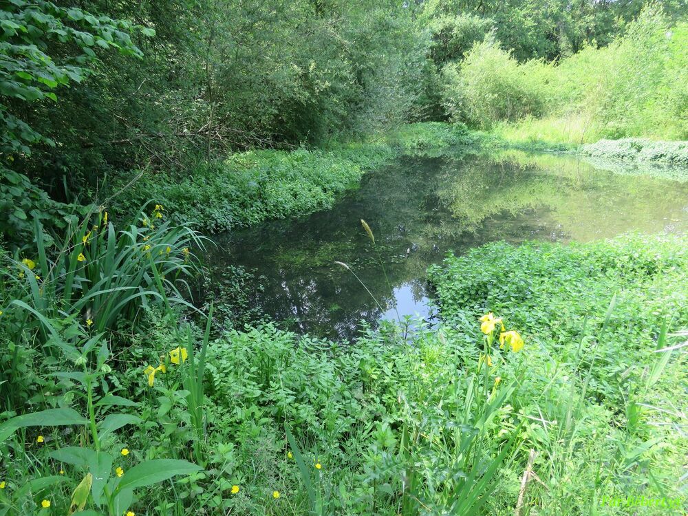 le parc des ardoisières - Angers