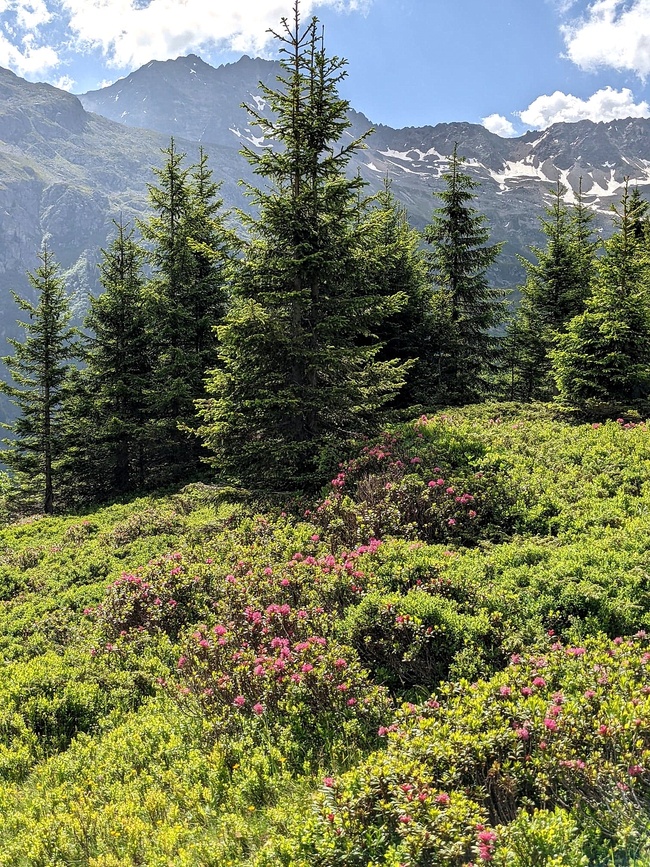 Rando au  * Refuge des Prés * ( Aux Contamines-Montjoie )