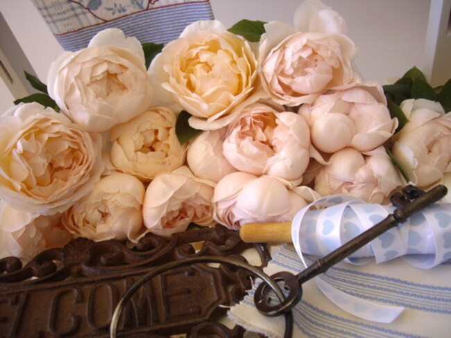 Images de Roses