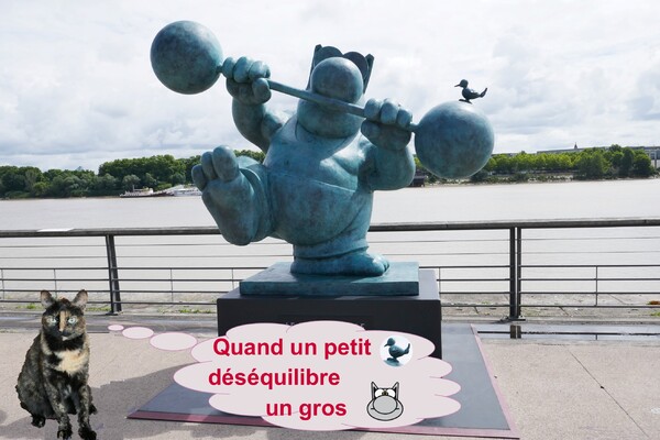 Le Chat déambule sur les quais de Bordeaux