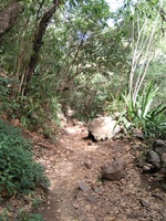 A la découverte du sentier de Dassy