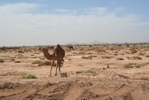 3. De Merzouga à 